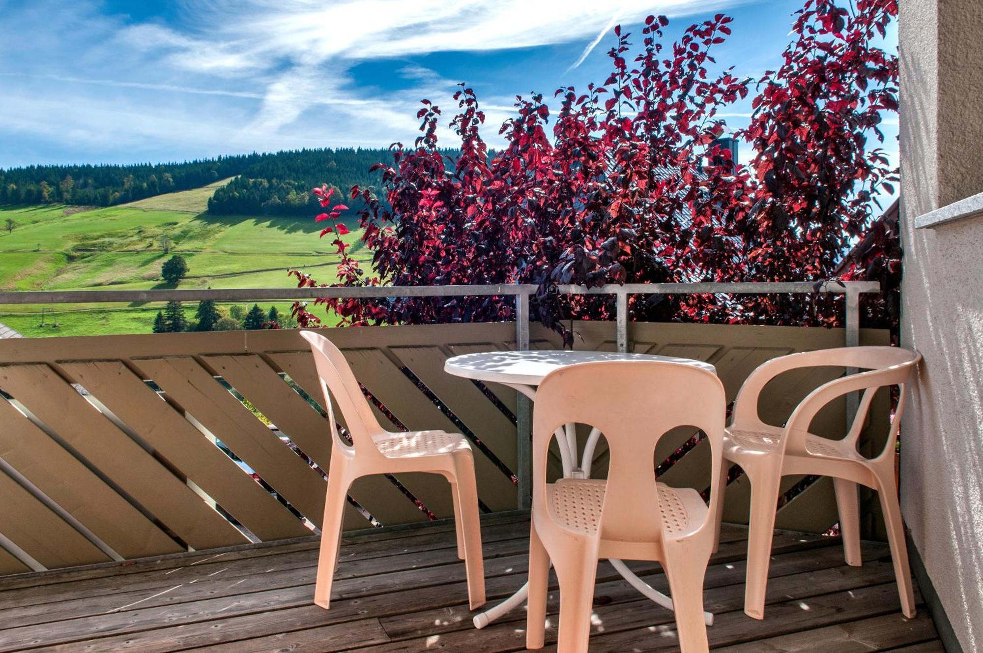 Apartment 03 - Ferienresidenz Roseneck, Mit Schwimmbad In Todtnauberg Bei Feldberg Exterior foto